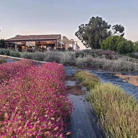 Quinta Do Mel Hétvégi ház