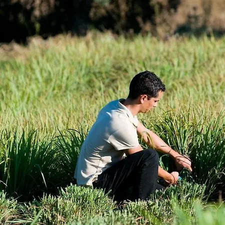 Quinta Do Mel Albufeira