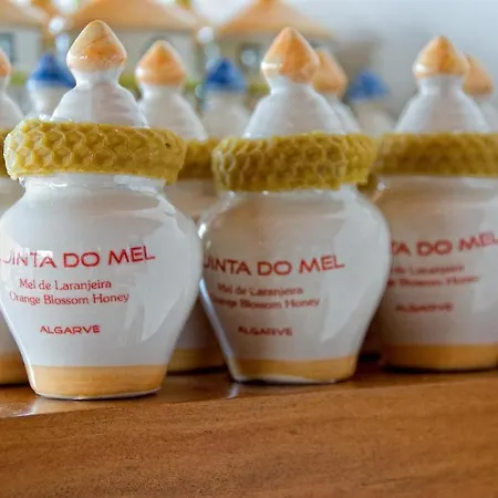 カントリーハウス Quinta Do Mel *