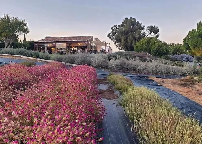 Quinta Do Mel Lantställe