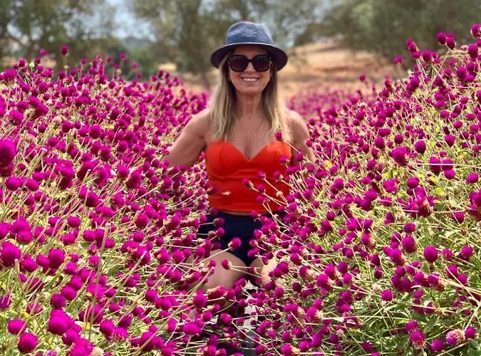 Quinta Do Mel Albufeira